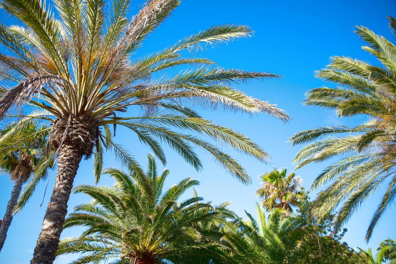 El Jasmine Daire Corralejo Dış mekan fotoğraf
